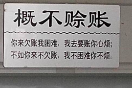 金盾要账:揭秘债务催收行业的“金盾”法则 金盾要账:揭秘债务催收行业的“金盾”法则