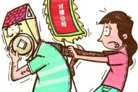 金霏要账:一场关于诚信与法理的较量 金霏要账:一场关于诚信与法理的较量