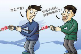讨债的孩子死了海会再来吗?——探究讨债行业的伦理困境与法律挑战 讨债的孩子死了海会再来吗?——探究讨债行业的伦理困境与法律挑战