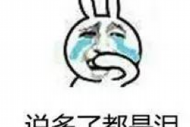 催收费用承担:责任与义务的理解与实践 催收费用承担:责任与义务的理解与实践