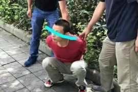 武汉打击暴力催收:守护和谐社会的安宁秩序 武汉打击暴力催收:守护和谐社会的安宁秩序
