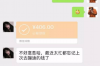 天才宝贝讨债爹地：一场温馨的债务奇遇记