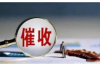 **节气猫当天会催收吗？**
