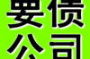 标题：揭秘高达游戏账号密码的真相：安全与隐私的平衡之道